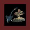 Drive-By Truckers - Decoration Day -  Vinyl Box Sets