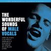 Various Artists - The Wonderful Sounds Of Male Vocals -  Hybrid Stereo SACD