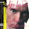 Public Image Ltd. - This Is What You Want...This Is What You Get -  SHM Single Layer SACDs