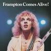 Peter Frampton - Frampton Comes Alive -  Vinyl LP with Damaged Cover