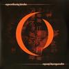 A Perfect Circle - Mer de Noms -  Vinyl LP with Damaged Cover