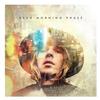 Beck - Morning Phase -  Vinyl LP with Damaged Cover