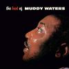 Muddy Waters - The Best Of Muddy Waters -  Vinyl LP with Damaged Cover