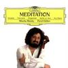 Mischa Maisky & Pavel Gililov - Meditation -  Vinyl LP with Damaged Cover