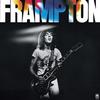 Peter Frampton - Frampton -  Vinyl LP with Damaged Cover