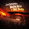Joe Bonamassa - Muddy Wolf At Red Rocks -  Vinyl LP with Damaged Cover