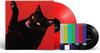 Ryan Adams - Big Colors -  Vinyl LP with Damaged Cover