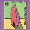 Meat Puppets - Forbidden Places -  Vinyl LP with Damaged Cover