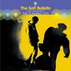 The Flaming Lips - The Soft Bulletin -  Vinyl LP with Damaged Cover