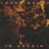 Lenny Woods - I'm Burnin' -  Preowned Vinyl Record