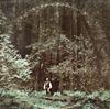 Paul Winter and The Winter Consort - Something In The Wind -  Preowned Vinyl Record