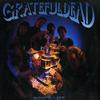 Grateful Dead - Built To Last -  Preowned Vinyl Record