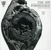 The Joy Formidable - A Minute's Silence -  Preowned Vinyl Record