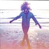 Lenny Kravitz - Raise Vibration -  Preowned Vinyl Record