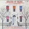 Leigh Kaplan - Shades Of Dring -  Preowned Vinyl Record