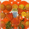 Brian Wilson - That Lucky Old Sun -  Preowned Vinyl Record