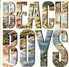 The Beach Boys - The Beach Boys -  Preowned Vinyl Record