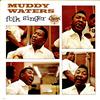 Muddy Waters - Folk Singer -  Preowned Vinyl Record