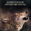 James Taylor - Never Die Young -  Preowned Vinyl Record