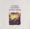 Alfred Gross - Bach: Fantasien -  Preowned Vinyl Record