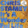 Chris Stamey - It's A Wonderful Life -  Preowned Vinyl Record