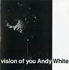 Andy White - Vision of You *Topper Collection -  Preowned Vinyl Record