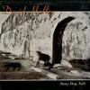 David Halley - Stray Dog Talk -  Preowned Vinyl Record