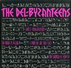 The Del-Byzanteens - Girl's Imagination -  Preowned Vinyl Record