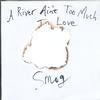 Smog - A River Ain't Too Much To Love -  Preowned Vinyl Record