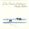 Alasdair Roberts - The Amber Gatherers -  Preowned Vinyl Record