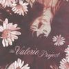 The Valerie Project - The Valerie Project -  Preowned Vinyl Record