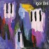 Igor Brill - Before The Sun Sets -  Preowned Vinyl Record