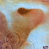Pink Floyd - Meddle -  Preowned Vinyl Record