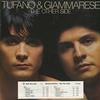 Tufano & Giammarese - The Other Side -  Preowned Vinyl Record