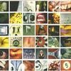Pearl Jam - No Code -  Preowned Vinyl Record