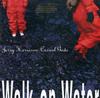 Jerry Harrison, Casual Gods - Walk On Water