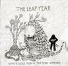 The Leap Year - With A Little Push A Pattern Appears -  Preowned Vinyl Record