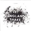 PJ Harvey - Let England Shake -  Preowned Vinyl Record