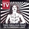 Psychic TV - Thee Fabulous Feast Ov Flowering Light -  Preowned Vinyl Record