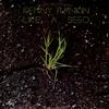 Kenny Rankin - Like A Seed notch -  Preowned Vinyl Record