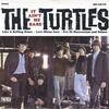 The Turtles - It Ain't Me Babe -  Preowned Vinyl Record