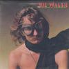 Joe Walsh - Joe Walsh -  Preowned Vinyl Record