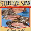 Steeleye Span - All Around My Hat -  Preowned Vinyl Record