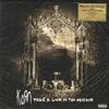 Korn - Take A Look In The Mirror -  Preowned Vinyl Record