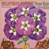 William Bolcom - Heliotrope Bouquet - Piano Rags -  Preowned Vinyl Record