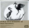Dana Falconberry - Public Hi-Fi Sessions 02 -  Preowned Vinyl Record