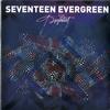 Seventeen Evergreen - Psyentist EP -  Preowned Vinyl Record