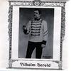 Vilhelm Herold - Vilhelm Herold -  Preowned Vinyl Record