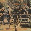 Steeleye Span - Hark! The Village Wait -  Preowned Vinyl Record