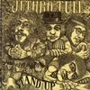 Jethro Tull - Stand Up -  Preowned Vinyl Record